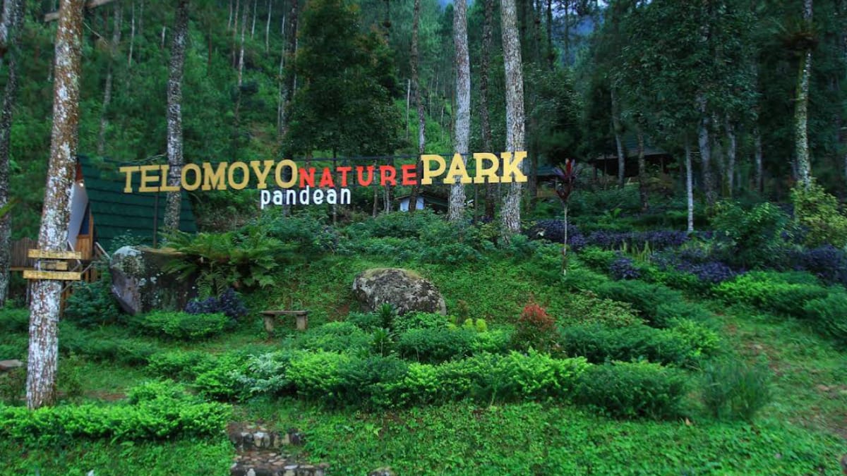 Telomoyo Nature Park: Petualangan Menakjubkan di Alam Jawa Tengah